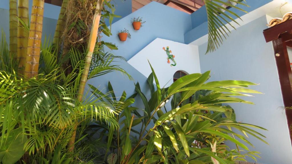 Pousada Raios De Luar Boicucanga Exterior foto